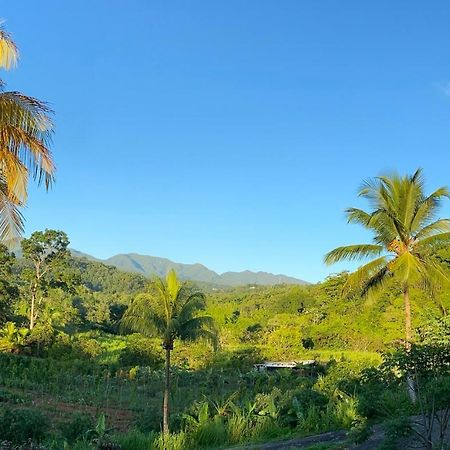 La Vallee De Diane Villa Petit-Bourg Ngoại thất bức ảnh