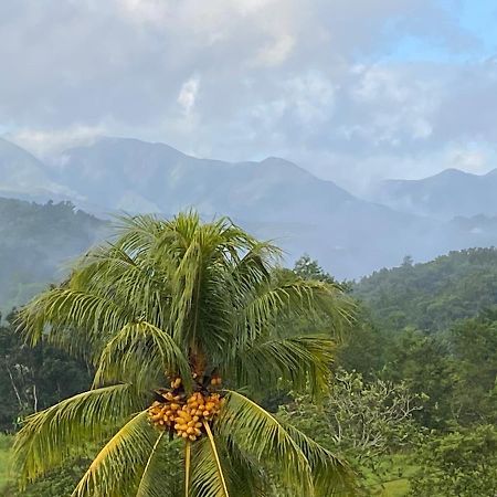 La Vallee De Diane Villa Petit-Bourg Ngoại thất bức ảnh